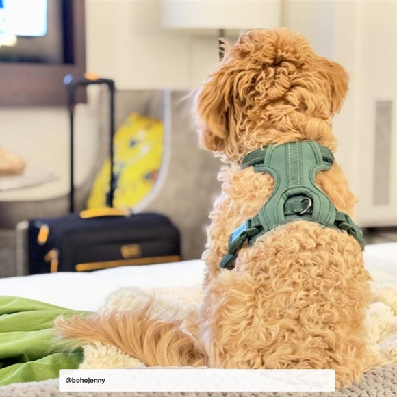 Reflective Comfort Dog Harness 🐶🦮🦴🐾 - Picture 5 of 6